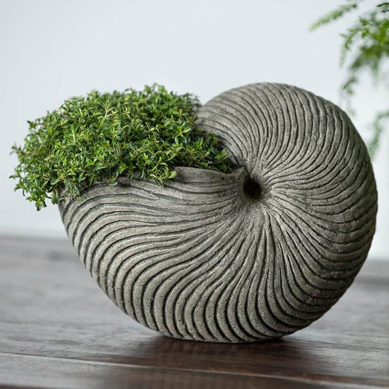 Conch Shell Planter - Unique Stone