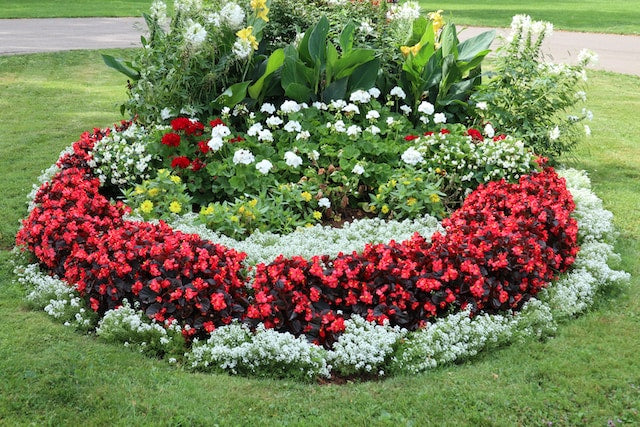 Flower Bed Ideas to Spruce up Your Garden