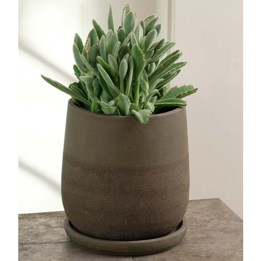 Aimee Terra Cotta Planter Nested Set of 4 in Carob Finish