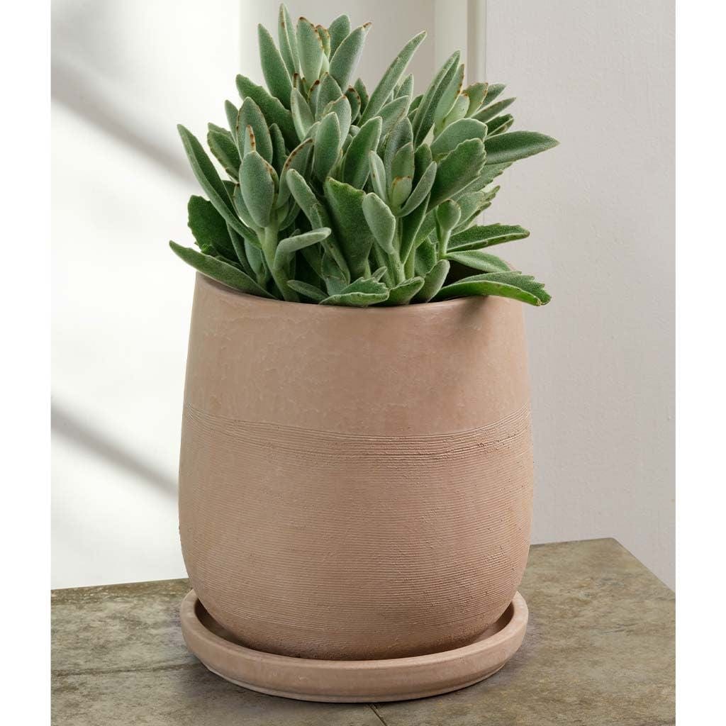 Aimee Terra Cotta Planter Nested Set of 4 in Shell Finish