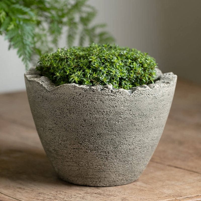 Broken Egg Planter - Mini