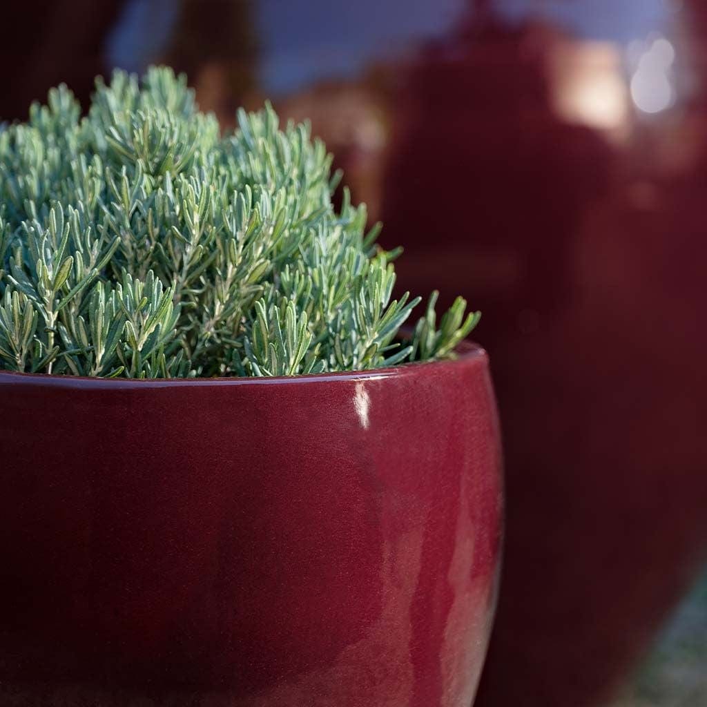 Cabachon Glazed Planter Set of 3 in Plum finish