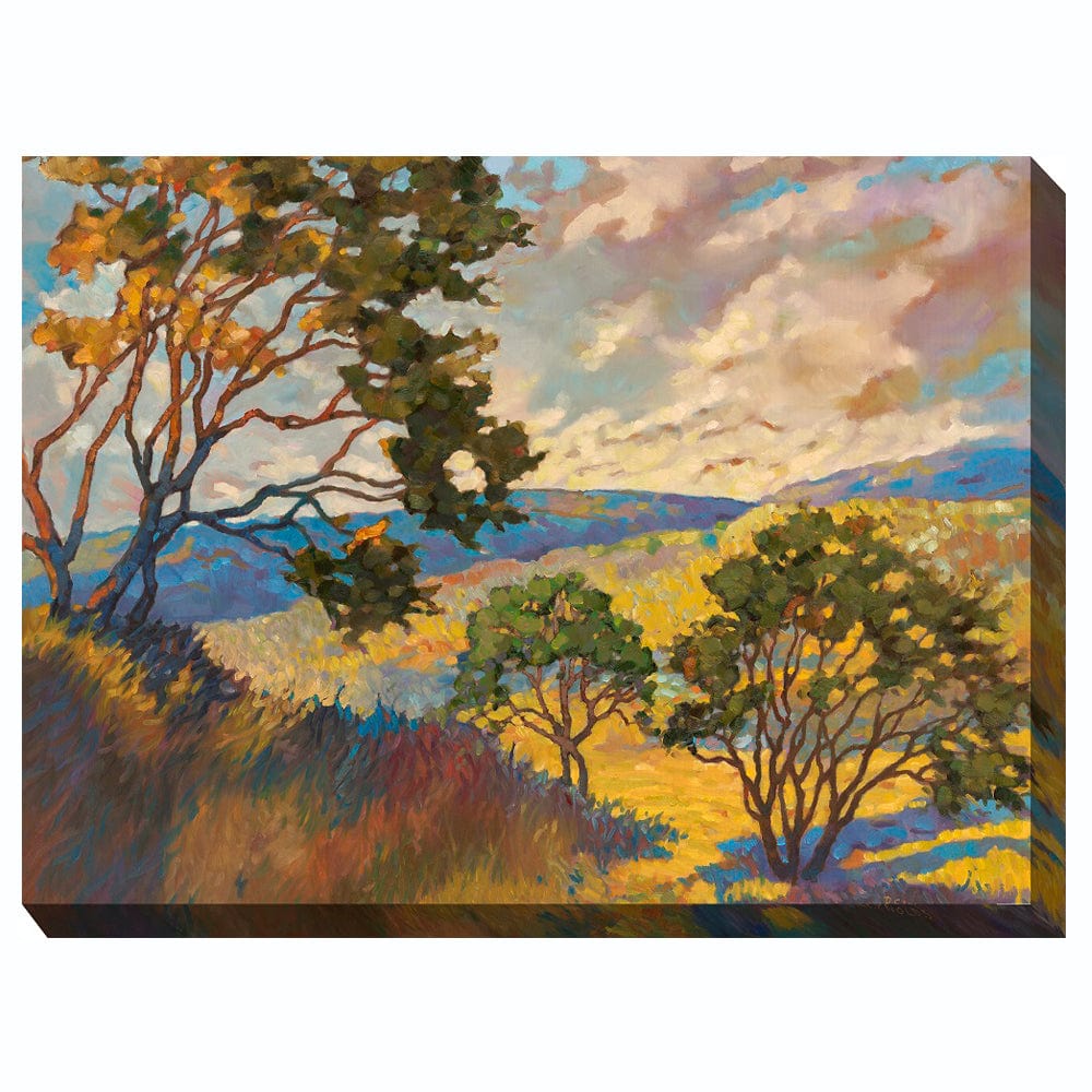 No Boundaries Outdoor Canvas Art