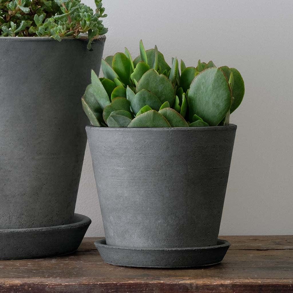 Essential Lightweight Cast Stone Concrete Planter in  Grey