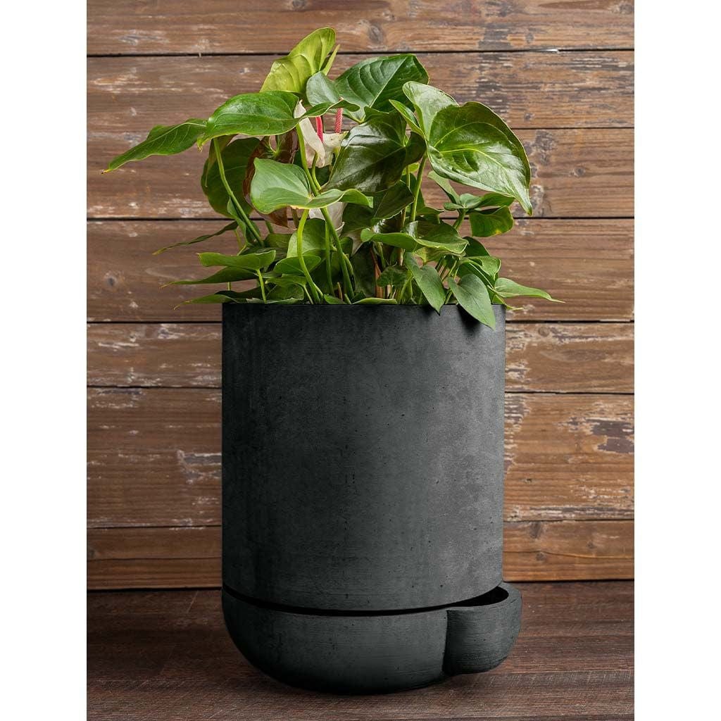 The Simple Pot | 5 Gallon Self Watering Lightweight Cast Stone Concrete Planter in Charcoal