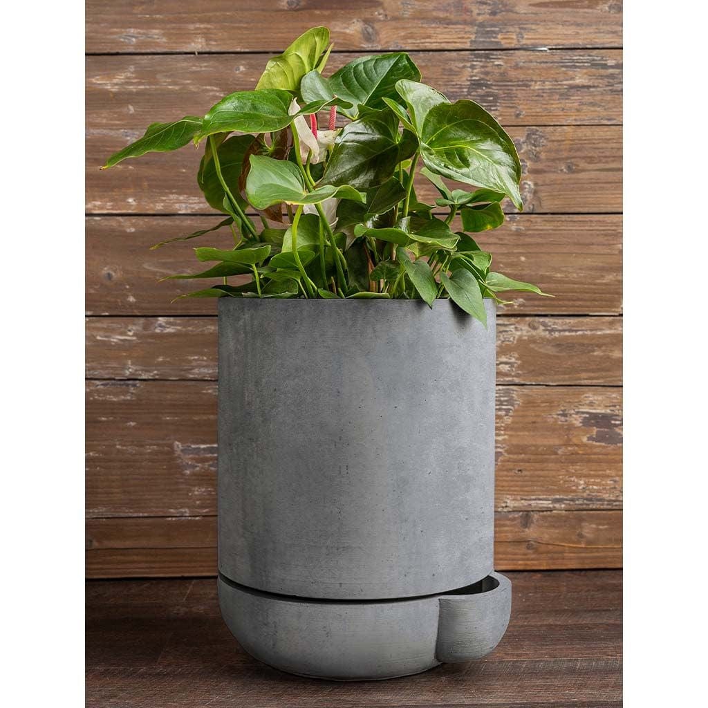 The Simple Pot | 3 Gallon Self Watering Lightweight Cast Stone Concrete Planter in Grey