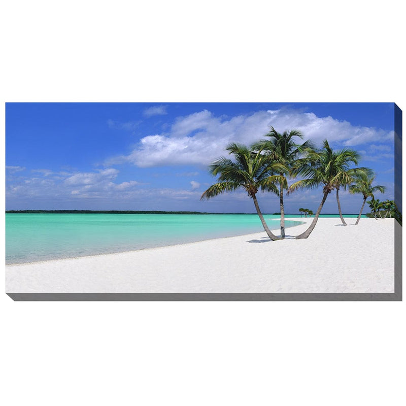 Sugar Sand Outdoor Canvas Art | Palms And White Sand Beach