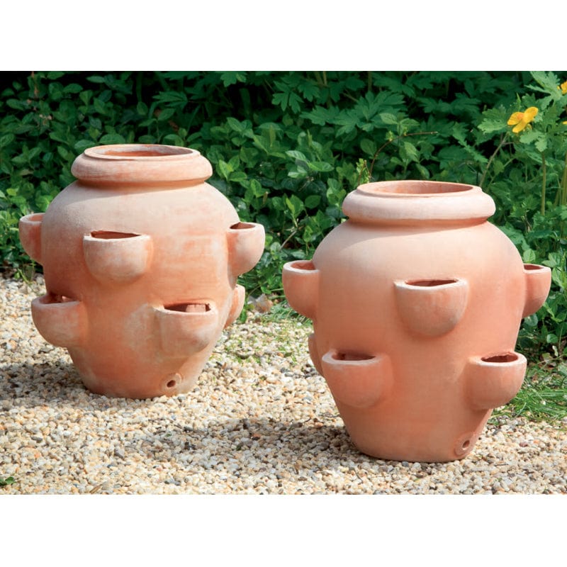 Tascandi Strawberry Jar Set of 2 in Terra Cotta Finish - Outdoor Art Pros